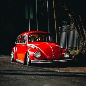 Meet your Posher, Oscar